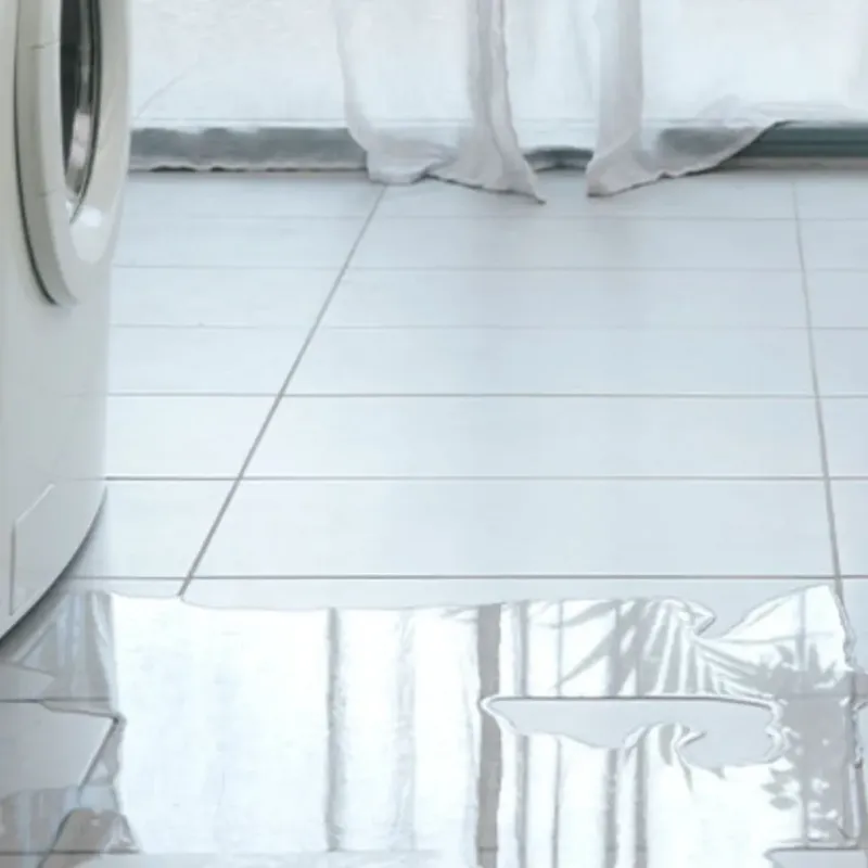 Appliance Leak Cleanup in Oracle, AZ