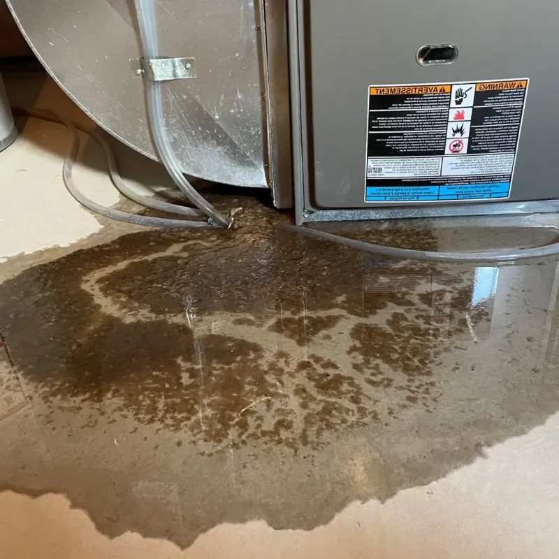 Pipe Burst and Leak Restoration in Oracle, AZ